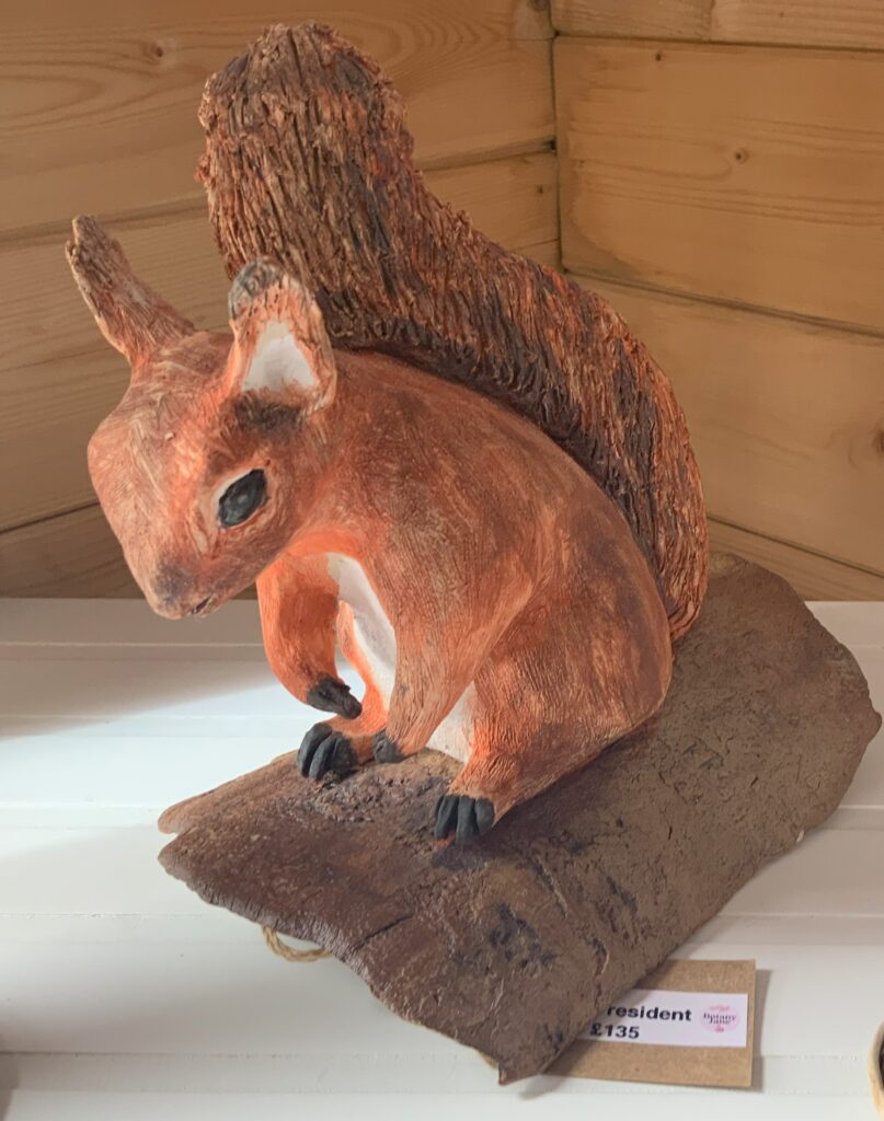 red squirrel